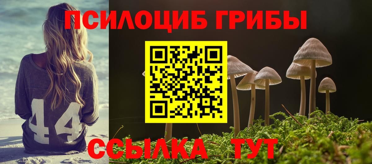 Псилоцибиновые грибы GOLDEN TEACHER Грозный