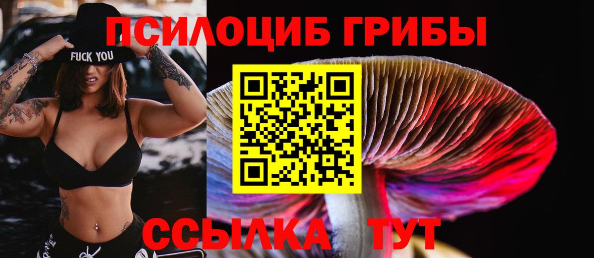 Грозный  закладки  Вход с VPN  Псилоцибиновые грибы GOLDEN TEACHER 